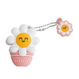 mr-wonderful-pendrive-daisy