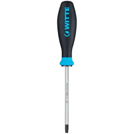 witte-cacciavite-torx-pro-25x100