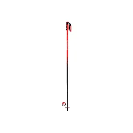 rossignol-hero-carbon-杖