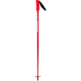 rossignol-bastons-junior-hero-sl