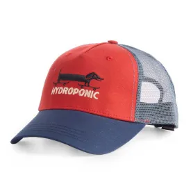 hydroponic-gorra-long-dog