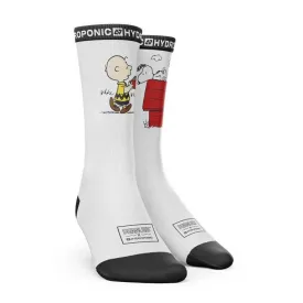 hydroponic-peanuts-長靴下