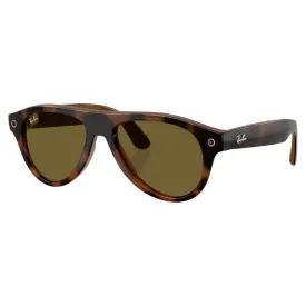 ray-ban-aviator-sunglasses