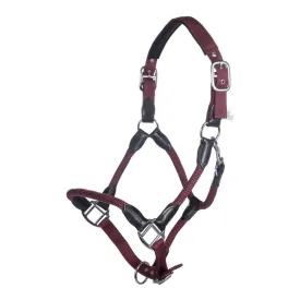 hkm-capezza-carlotta
