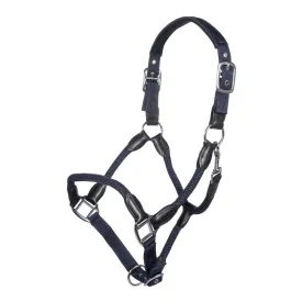 hkm-capezza-carlotta