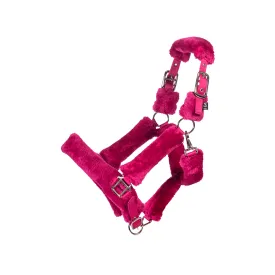 hkm-capezza-comfort
