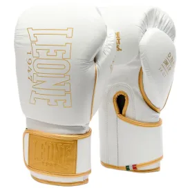 leone1947-luvas-de-boxe-dna-premium