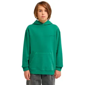 element-moletom-com-capuz-cornell-3.0