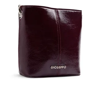 gioseppo-80652-vaska
