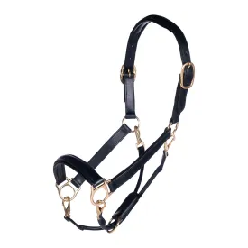 hkm-cabrestro-leather-gold