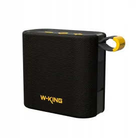 w-king-d2-portable-speaker