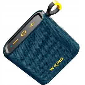 w-king-d2-draagbare-luidspreker