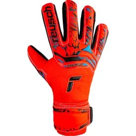 reusch-attrakt-evolution-torwarthandschuhe