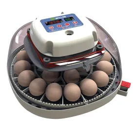 willab-22-eggs-p-dagogisk-legetoj
