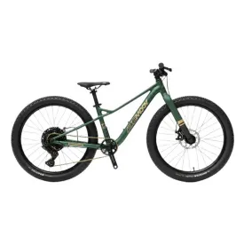 bemoov-t26-mtb-bike