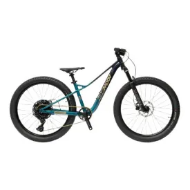 bemoov-ts24-mtb-cykel
