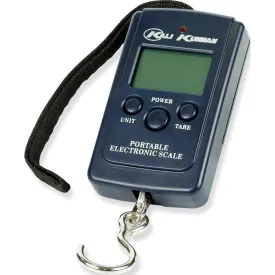 kali-kunnan-portable-electronic-digital-scale