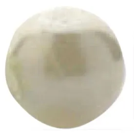 titan-giratoris-with-ring