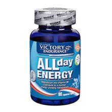 victory-endurance-all-day-energy-90-units-neutral-flavour