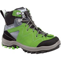 Dolomite Steinbock Goretex Hiking Boots