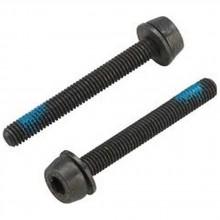 campagnolo-screws-for-rear-mounting-39-mm