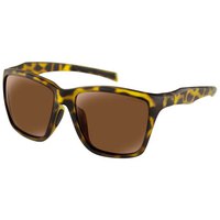 Bobster Anchor Polarized Sunglasses