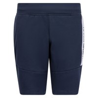 le-coq-sportif-essentials-n-3-shorts