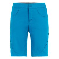 salewa-agner-movement-co-shorts-pants