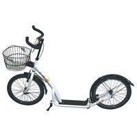 point-city-roller-travel-star-20-scooter