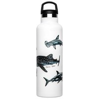 Fish tank Shark Poster Bottle 600ml