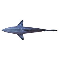 gaby-den-stora-vita-hajen-jattekudde