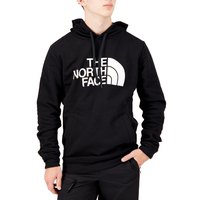 The north face 후드티 Half Dome