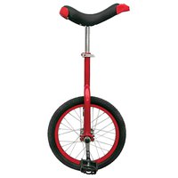 Fun Monocycle 16