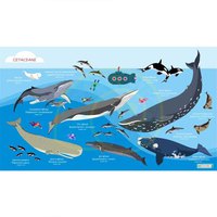 Oceanarium Cetaceans L Towel