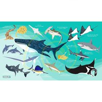 Oceanarium タオル Sharks & Rays L