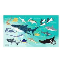 Oceanarium Sharks M Towel