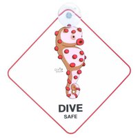 dive-inspire-porte-cles-hippocampe-pygmee-becky