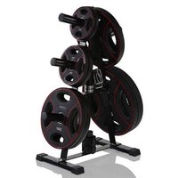 gymstick-soporte-rack-olympic-weight-plates