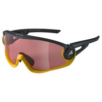 Alpina Gafas De Sol 5W1NG Q+CM Espejo