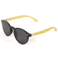 Hydroponic Venice Sunglasses
