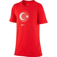 nike-camiseta-turquia-evergreen-crest-2020