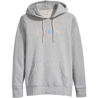 levis---t2-relaxed-graphic-hoodie