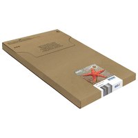 epson-603-multipack-easy-mail-pack-3-Чернильный-картридж
