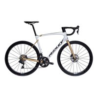 ridley-bicicleta-de-carretera-fenix-carbon-ultegra-2021
