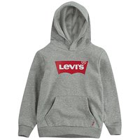 levis---batwing-screeenprint-hoodie