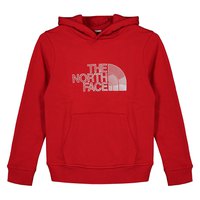 the-north-face-후드티-biner-graphic