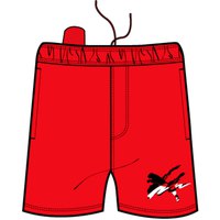 puma-pantalones-cortos-essential--summer-graphic