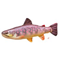gaby-the-brown-trout-mini-pillow