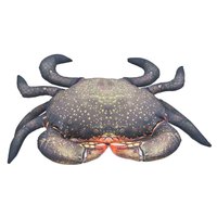 gaby-the-mud-crab-medium