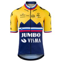 AGU Jersey Team Jumbo-Visma Slovenian Champion